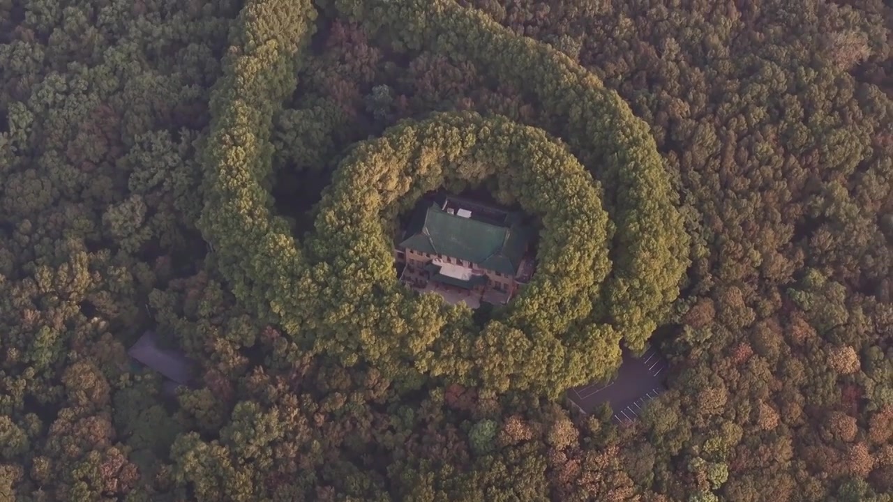 南京美龄宫金色的秋天南京地标标志性旅游地视频素材