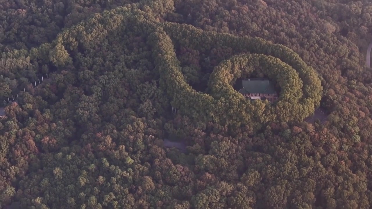 南京美龄宫金色的秋天南京地标标志性旅游地视频素材