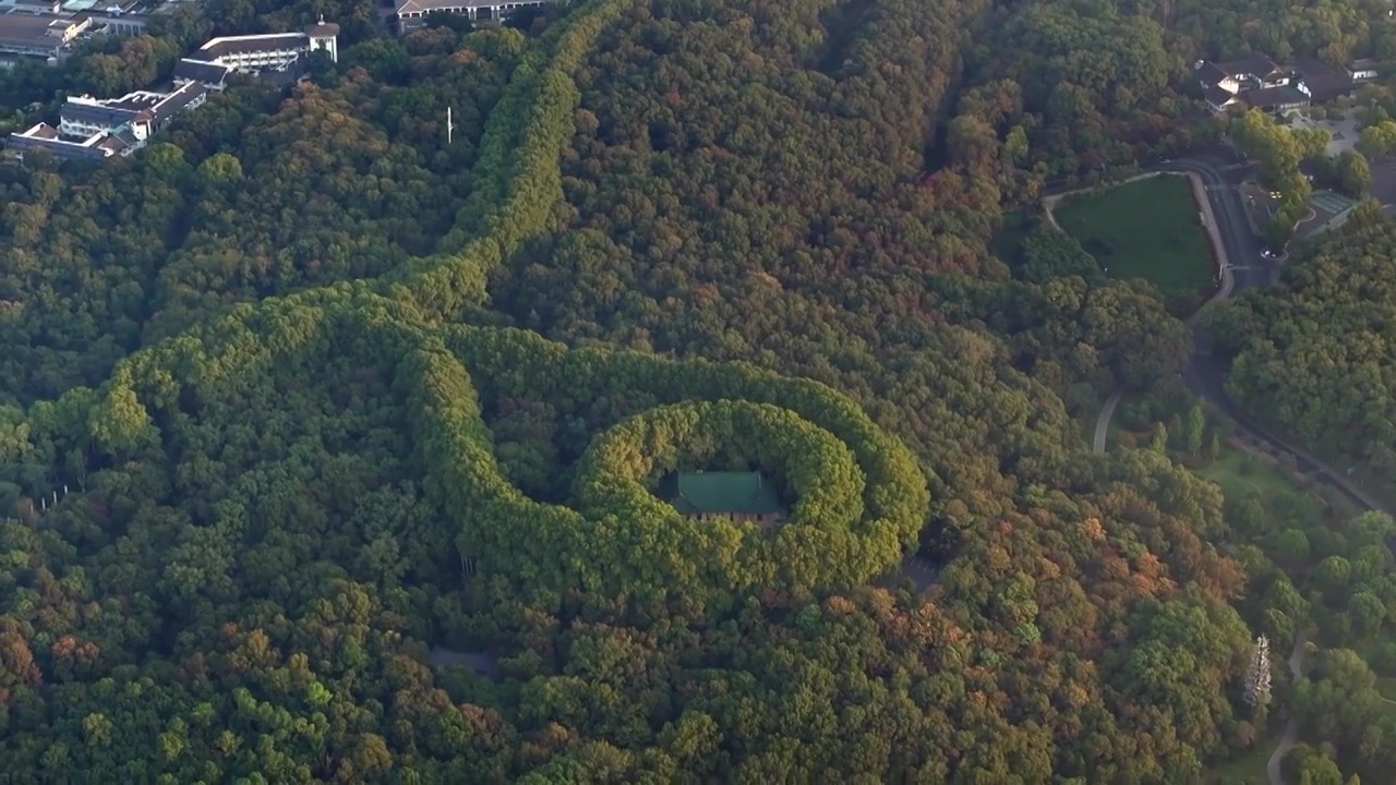 南京美龄宫金色的秋天南京地标标志性旅游地视频素材