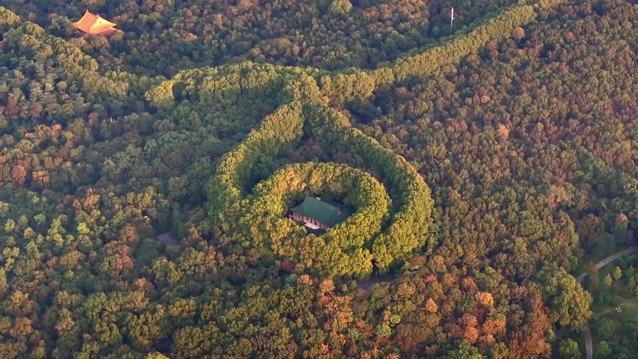 南京美龄宫金色的秋天南京地标标志性旅游地视频素材