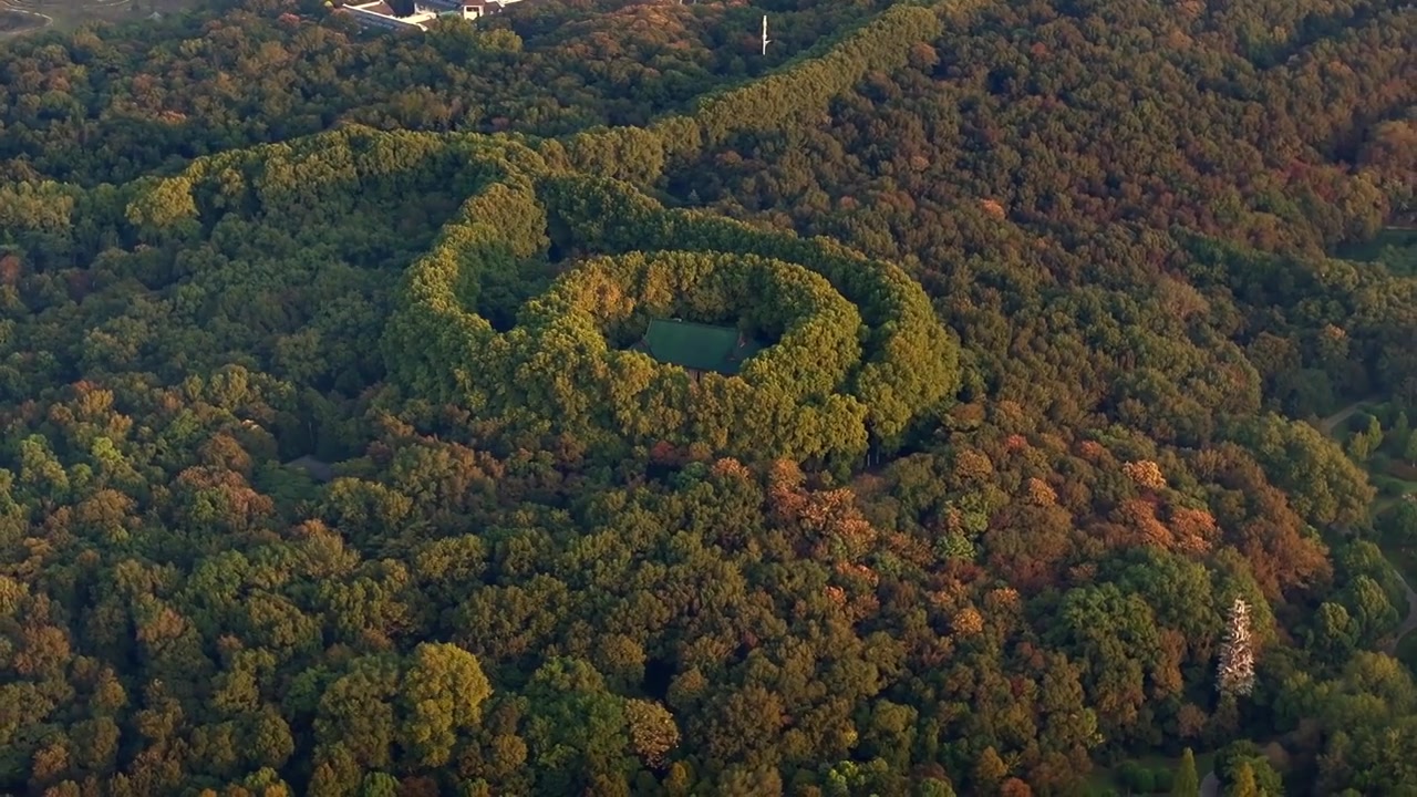 南京美龄宫金色的秋天南京地标标志性旅游地视频素材