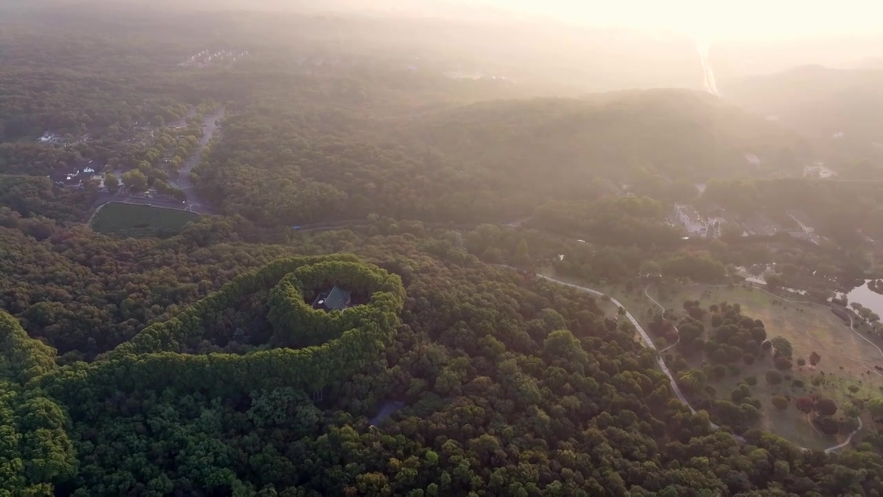 南京美龄宫金色的秋天南京地标标志性旅游地视频素材