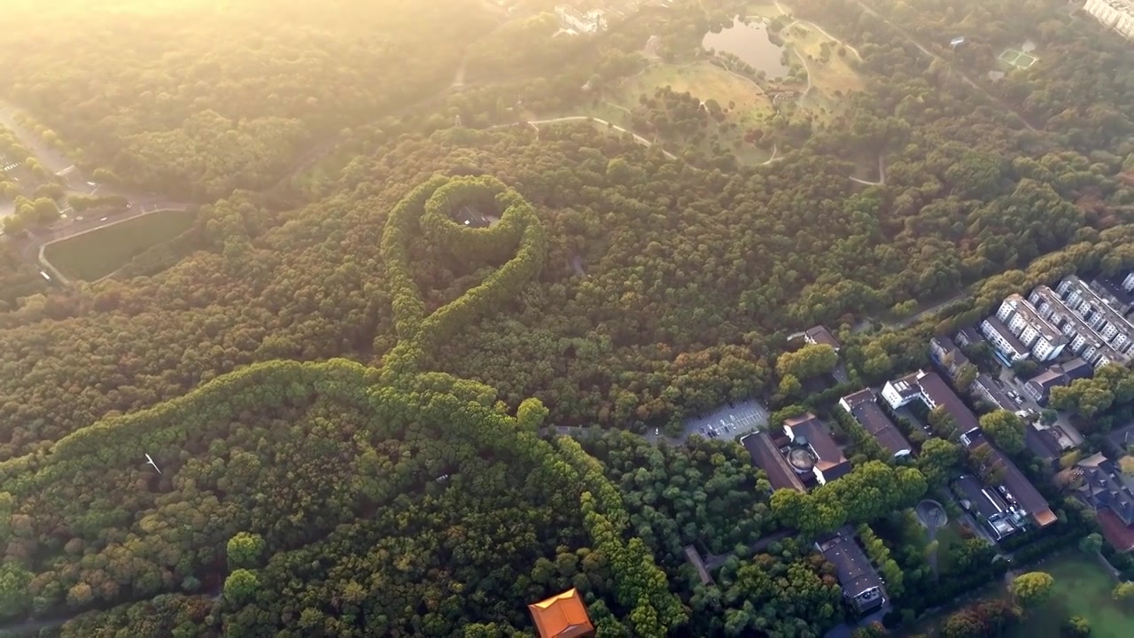 南京美龄宫金色的秋天南京地标标志性旅游地视频素材