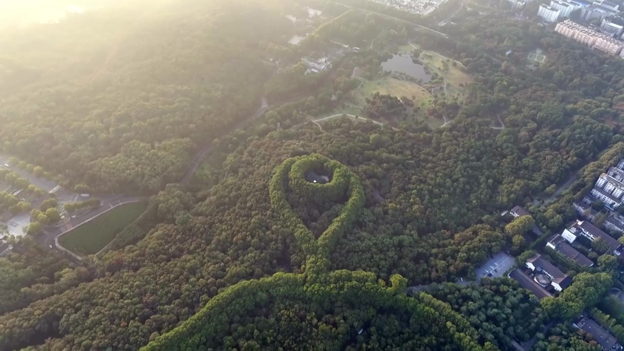 南京美龄宫金色的秋天南京地标标志性旅游地视频素材