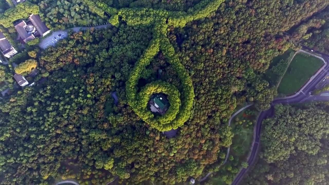 南京美龄宫金色的秋天南京地标标志性旅游地视频素材