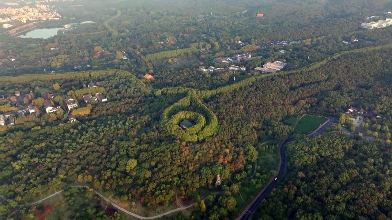 南京美龄宫金色的秋天南京地标标志性旅游地视频素材