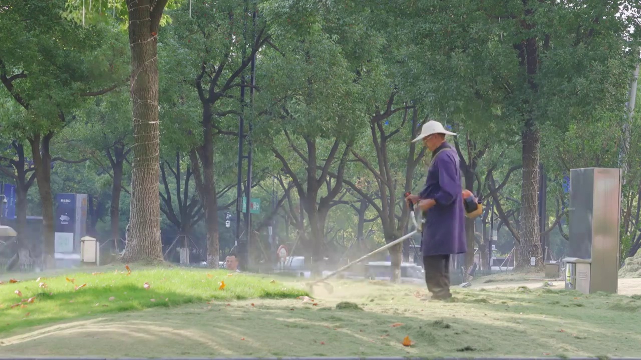 在草坪上用机器除草的大爷视频素材