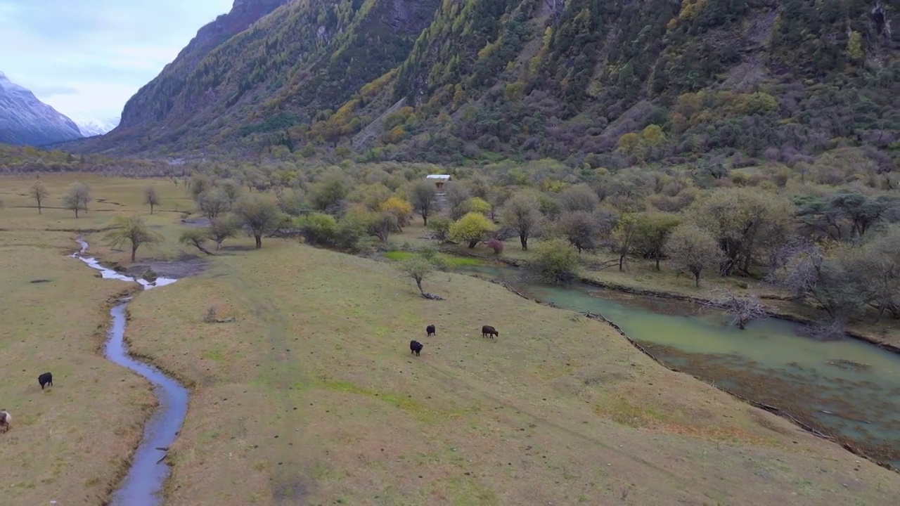 四川川西四姑娘山雪山双桥沟航拍秋日风景景象视频素材