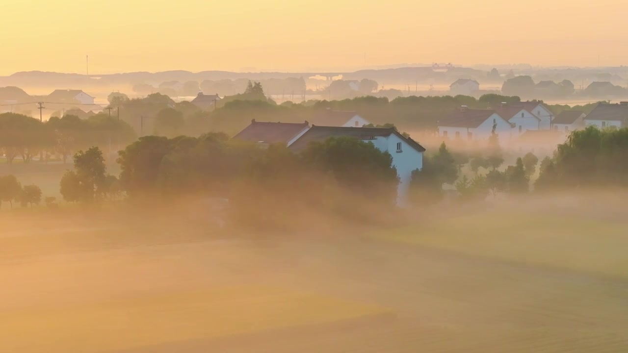 日出清晨时分的苏州美丽乡村北联村稻田矮脚雾风景航拍视频下载