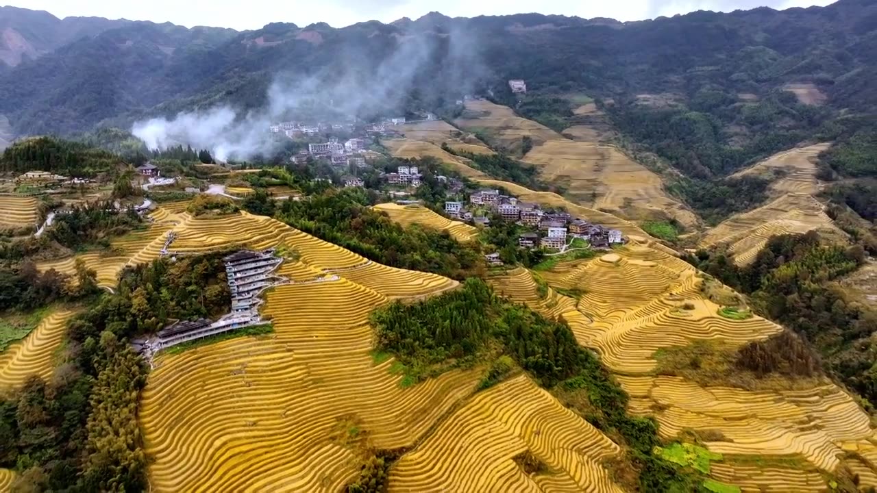 广西龙脊梯田秋收丰收视频素材