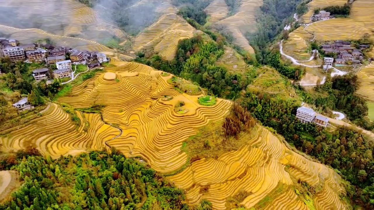 广西龙脊梯田秋收丰收视频素材