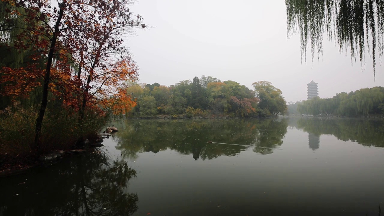 北京大学未名湖秋天景色视频下载