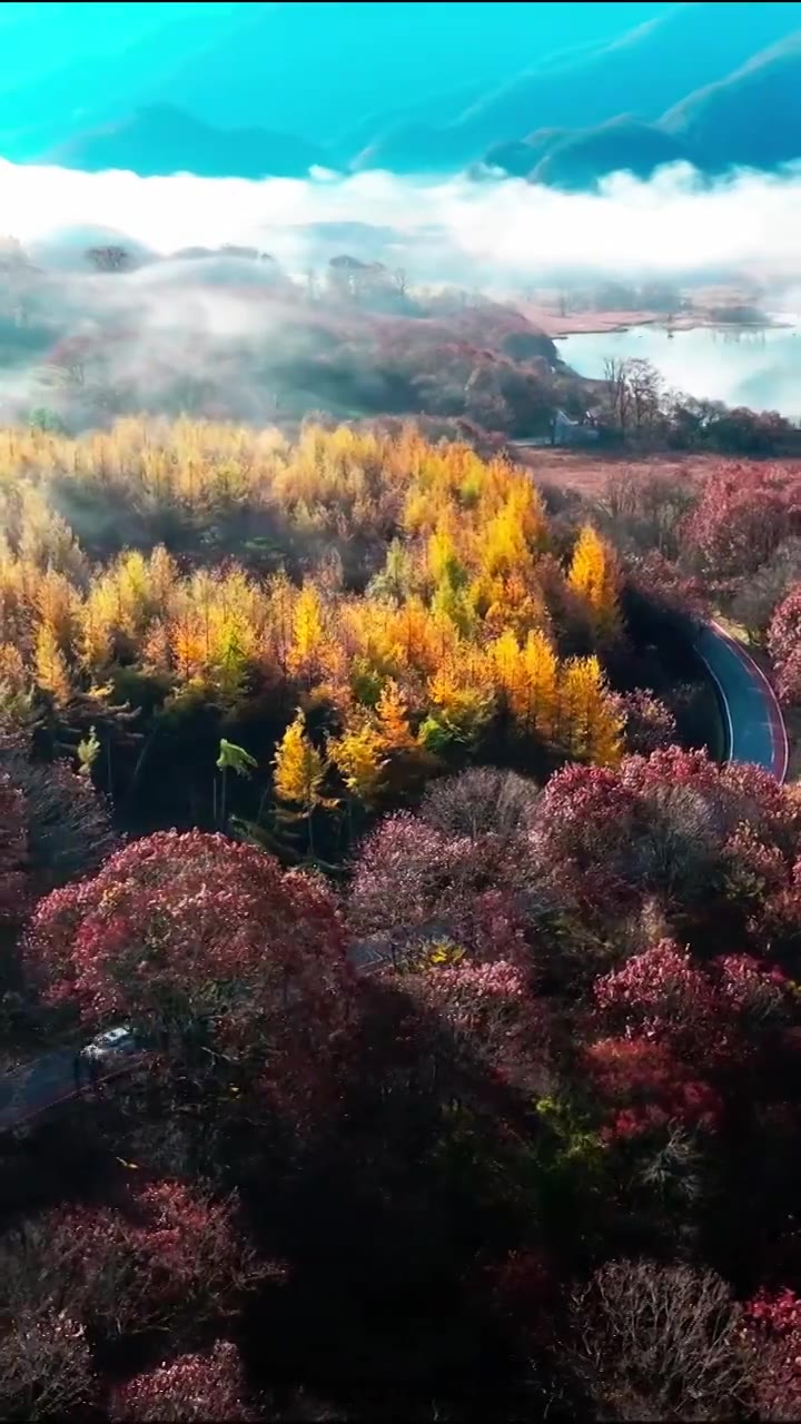 宁静,地形,自然,湖,树,自然美,雾,云,无人,白昼,户外,风景,天空,水,河流视频下载