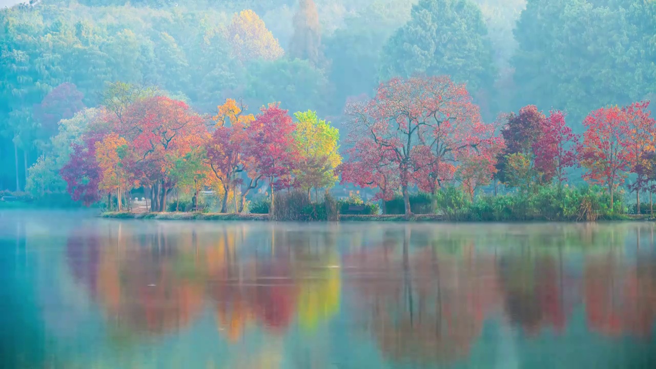 仙气飘飘的前湖晨景，江苏南京视频素材