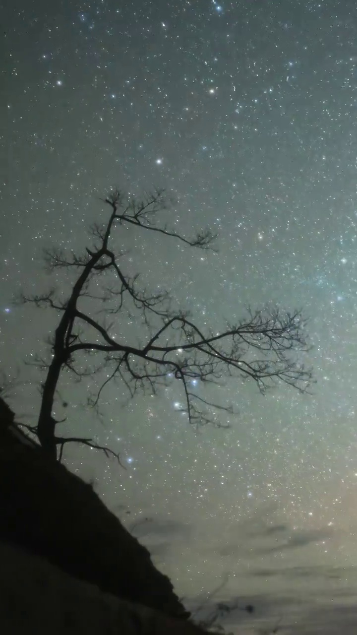 星空延时：宇宙星空树木天空视频素材