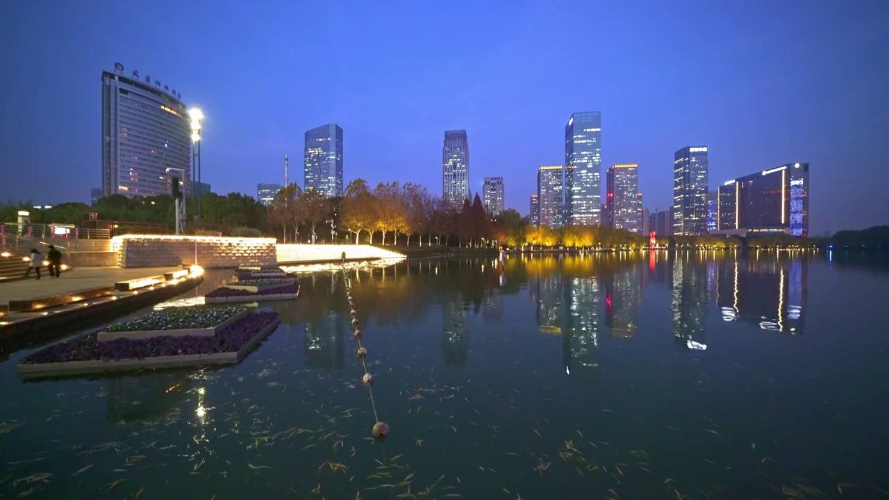 4K 安徽省 合肥市 夜景 地面视角 天鹅湖 空镜视频视频素材