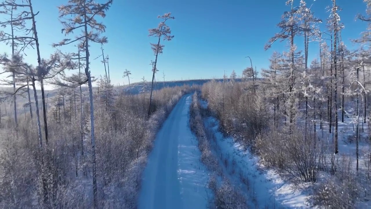 航拍林海雪原雪林山路视频素材