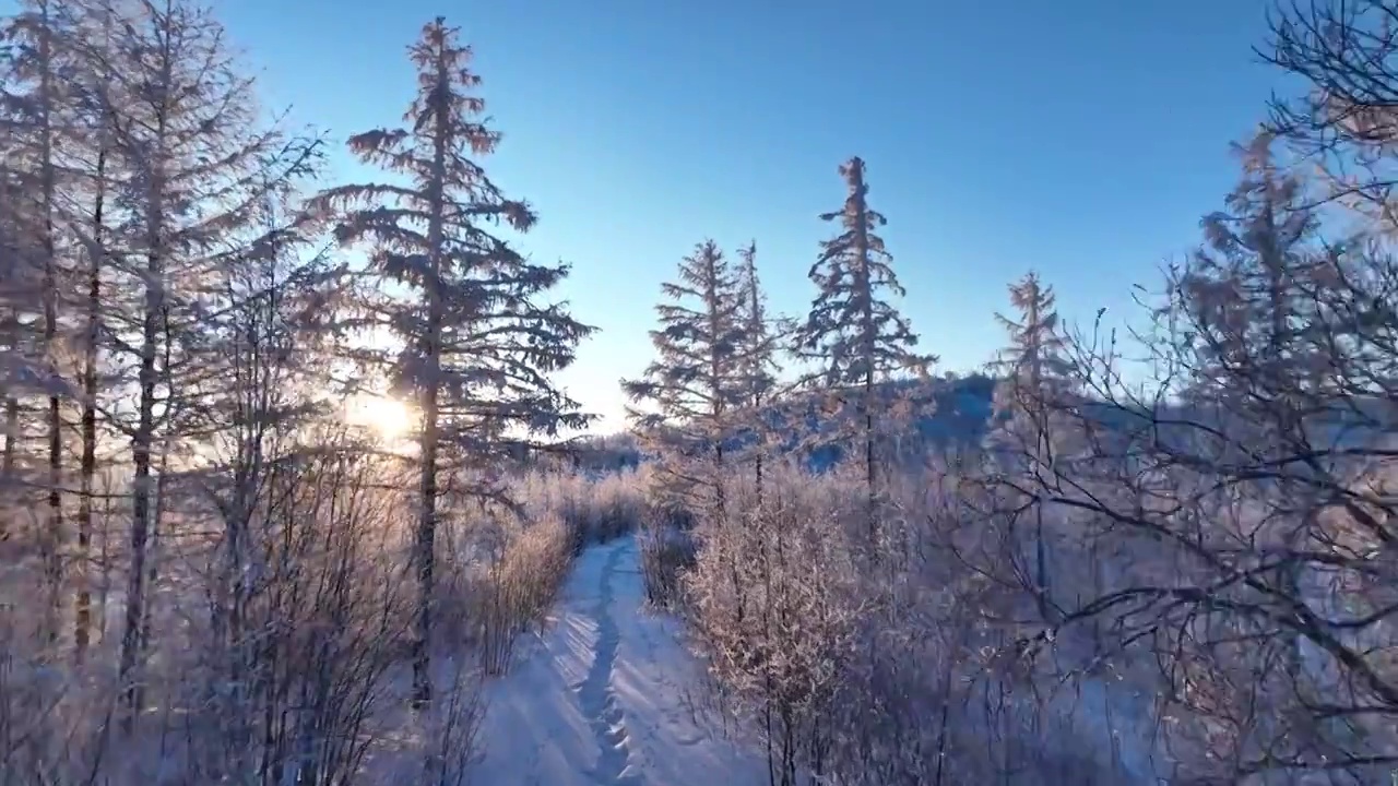 航拍林海雪原雪林山路视频素材