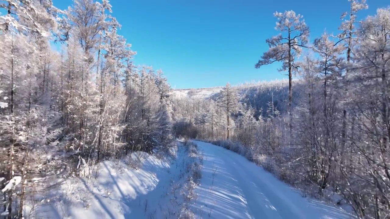 航拍林海雪原雪林山路视频素材