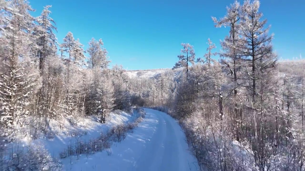 航拍林海雪原雪林山路视频素材