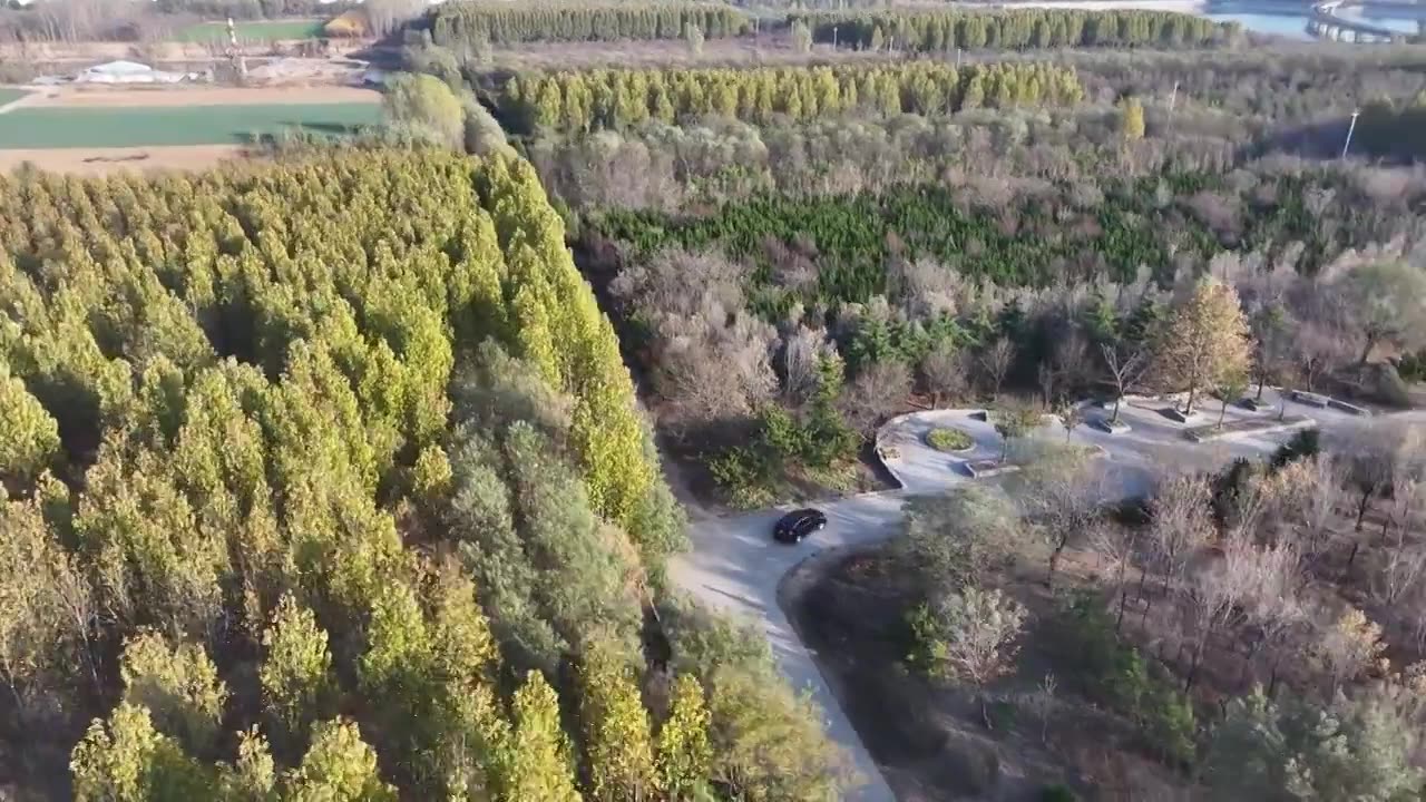 航拍东营广饶大王林场视频素材