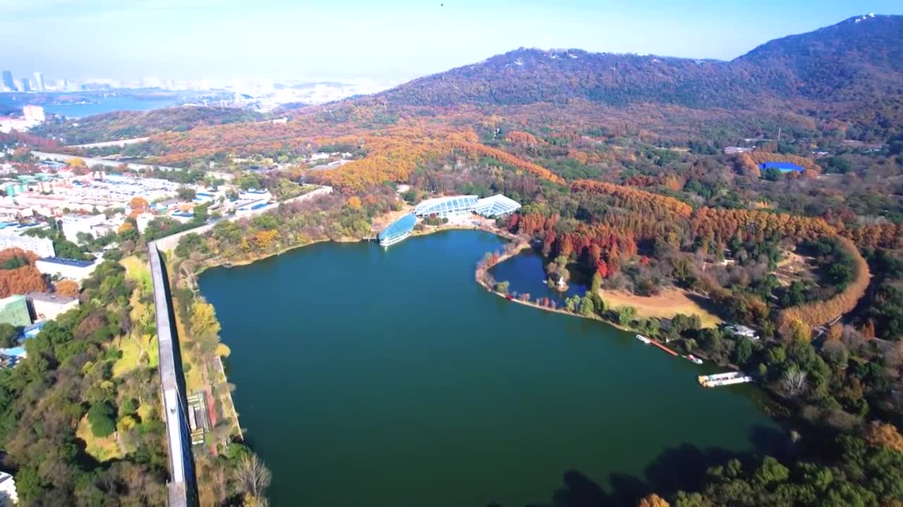 南京中山植物园 燕雀湖秋景视频素材