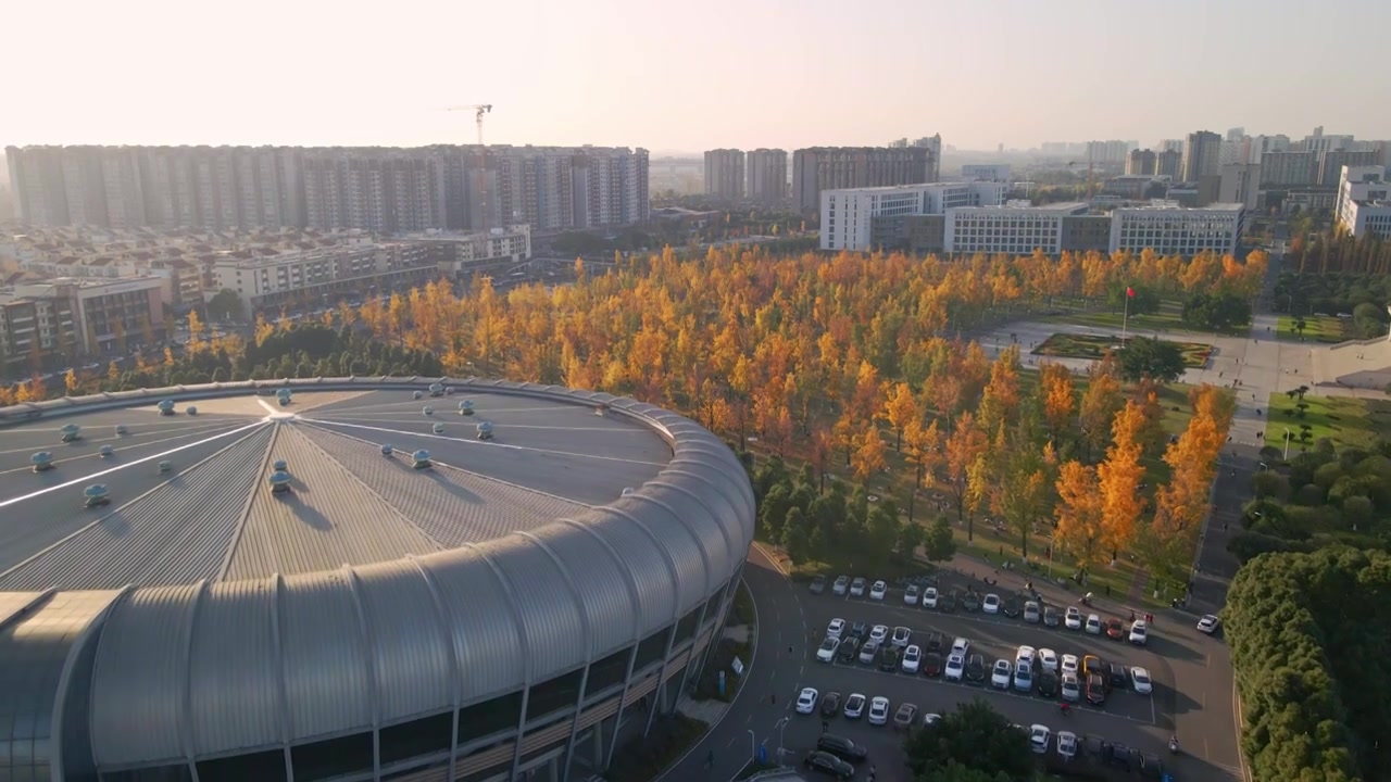 电子科技大学秋景视频素材