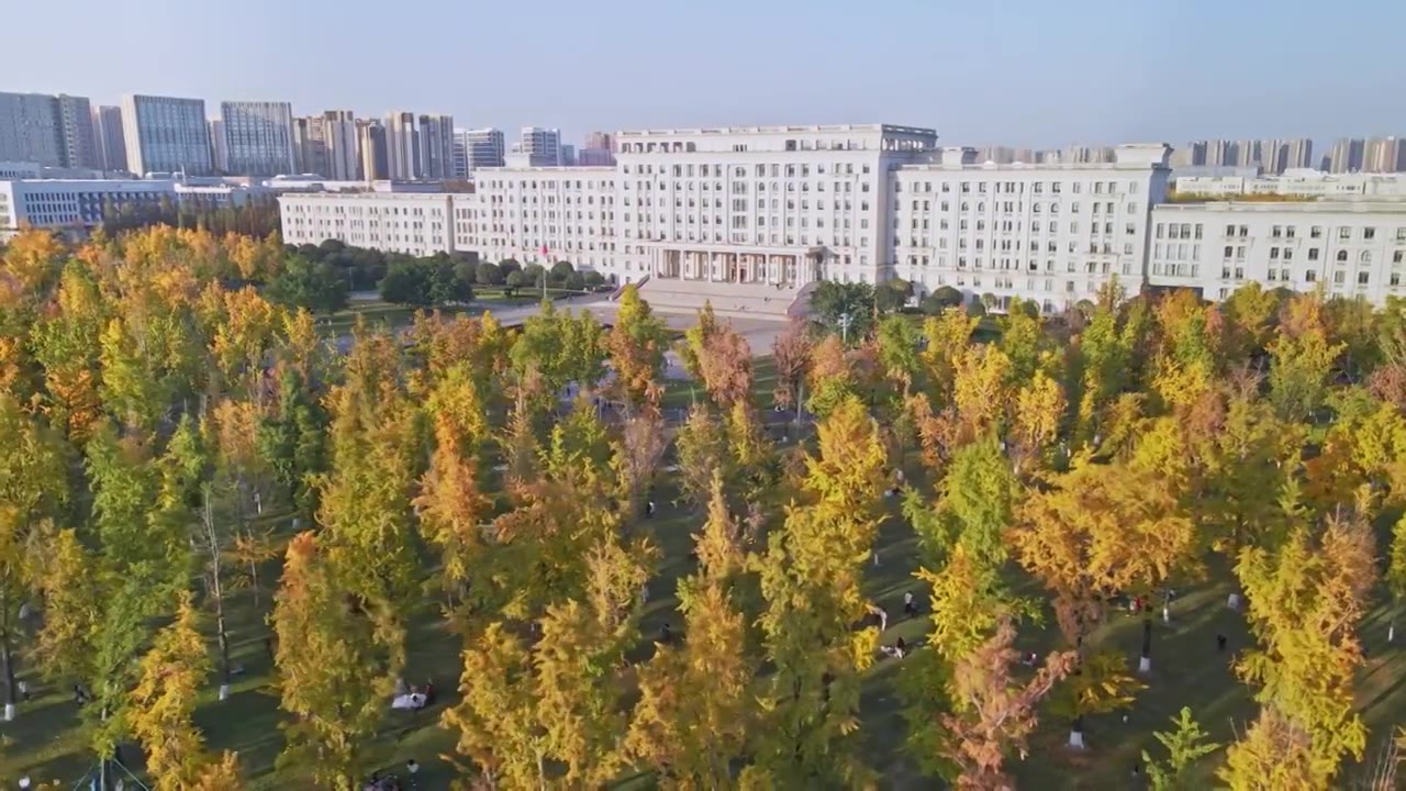 电子科技大学秋景视频素材