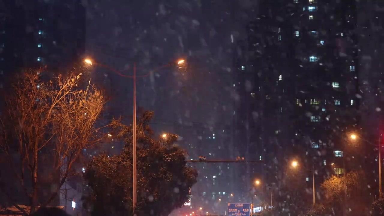 路灯下的雪花冬天城市雪景夜晚视频素材