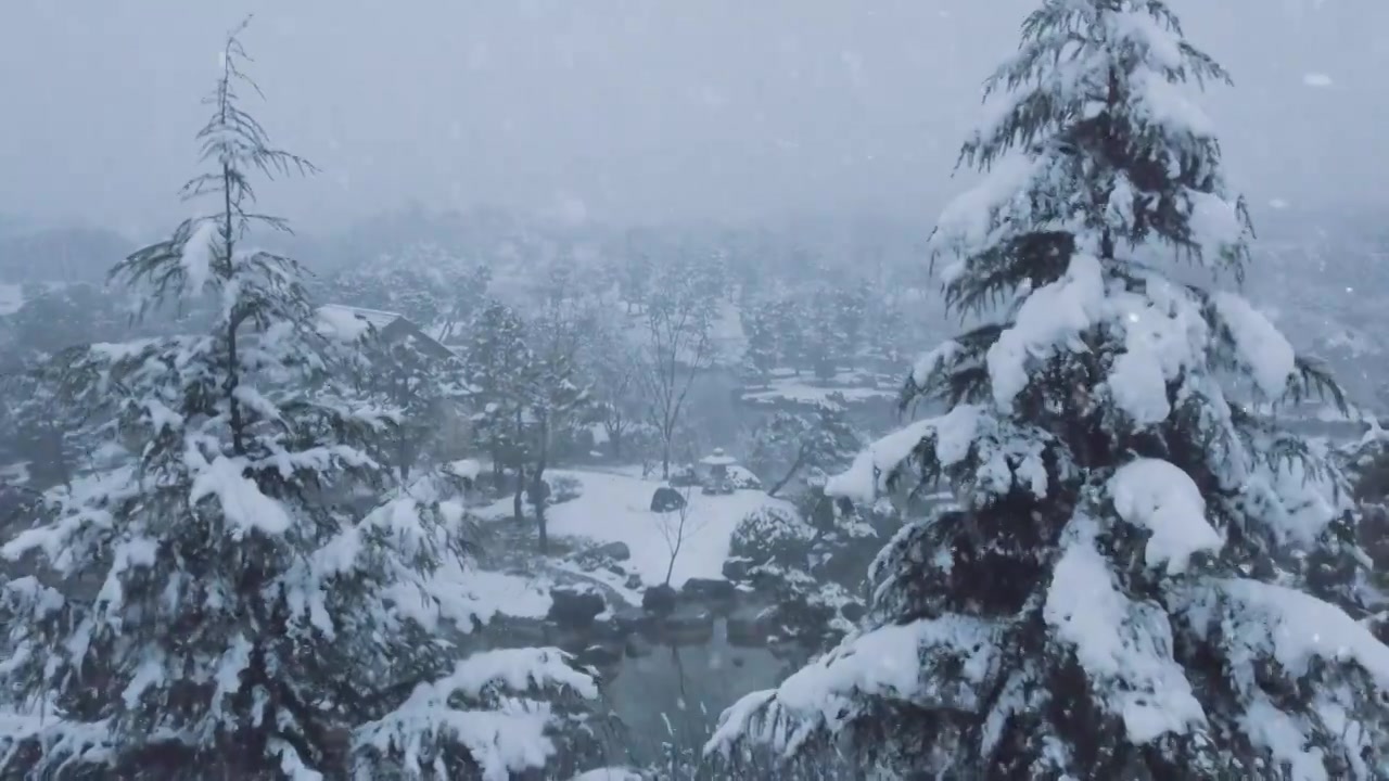 下雪雪景立冬小雪大雪冬至雪花飘落下雪素材视频素材