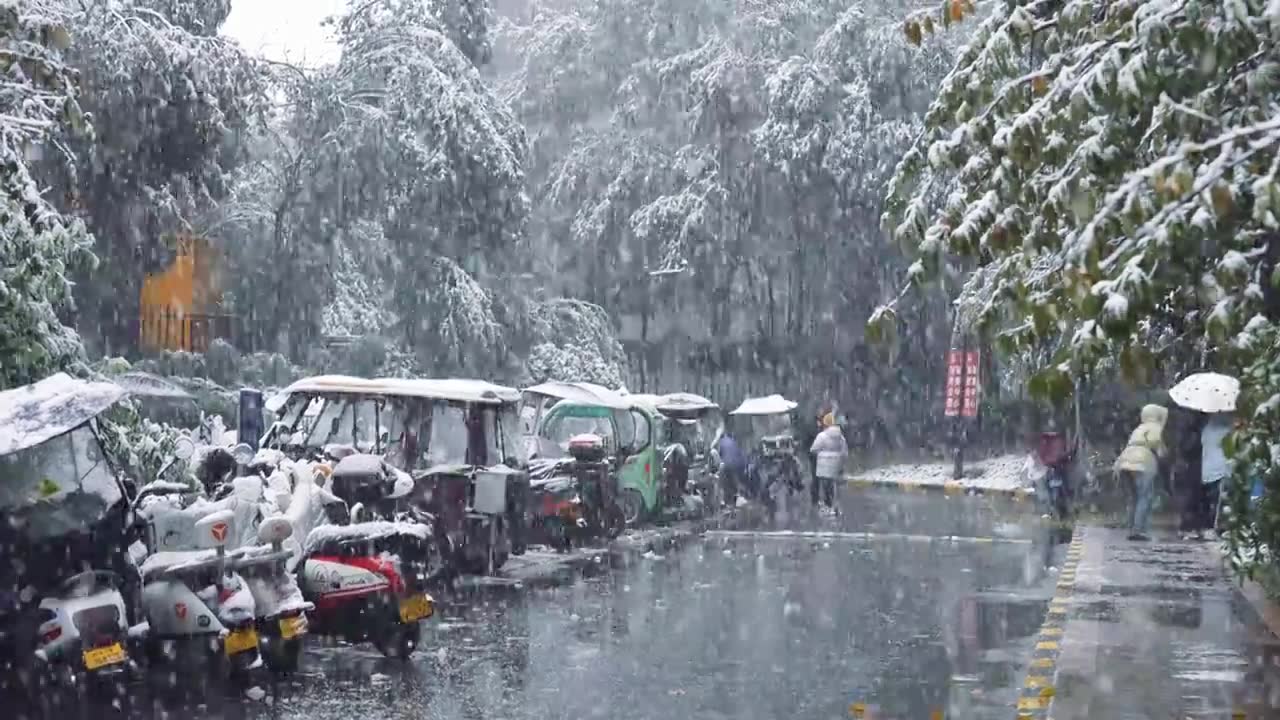 下雪雪景立冬小雪大雪冬至雪花飘落下雪素材视频素材