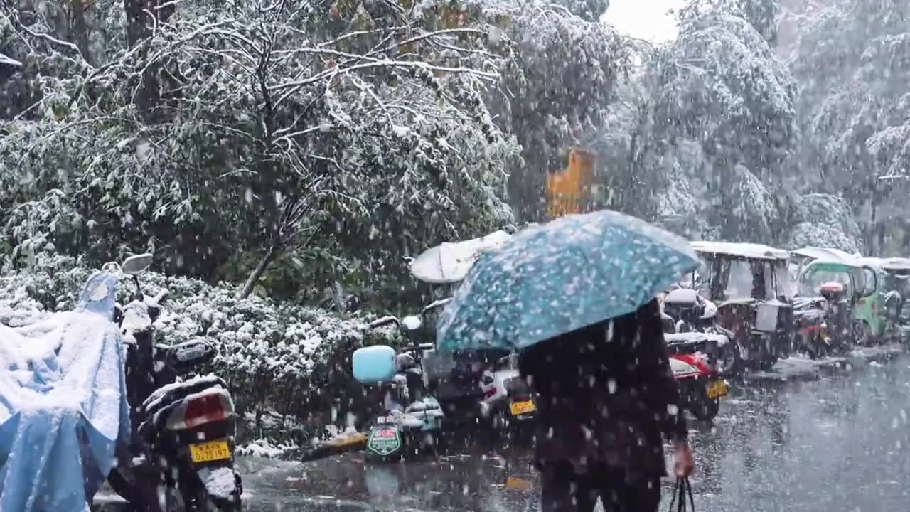 下雪雪景立冬小雪大雪冬至雪花飘落下雪素材视频素材