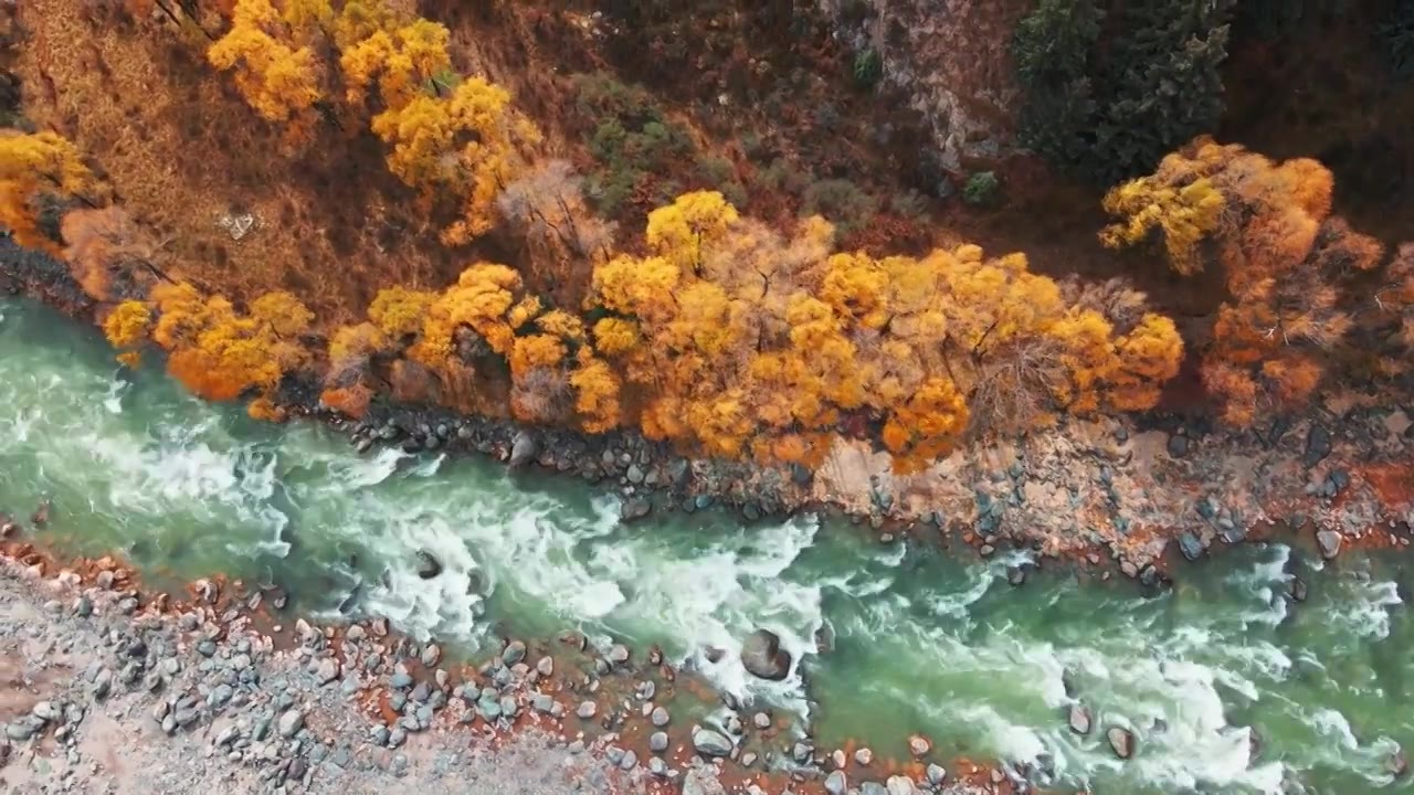 青海祁连县秋景视频购买