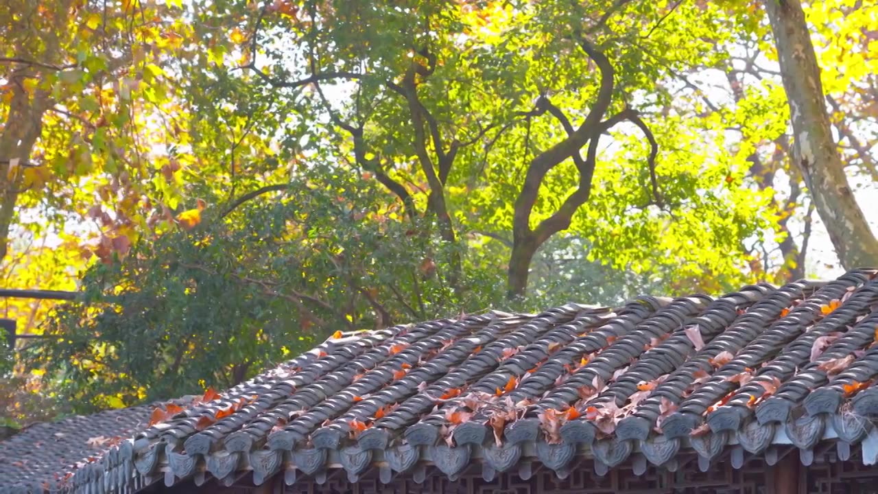 浙江杭州西湖郭庄传统江南古典园林秋天风景视频素材