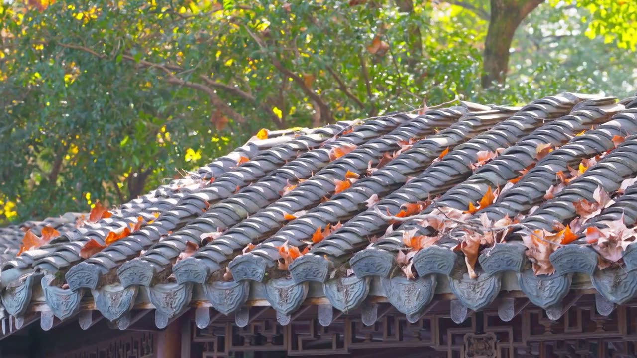 浙江杭州西湖郭庄传统江南古典园林秋天风景视频素材