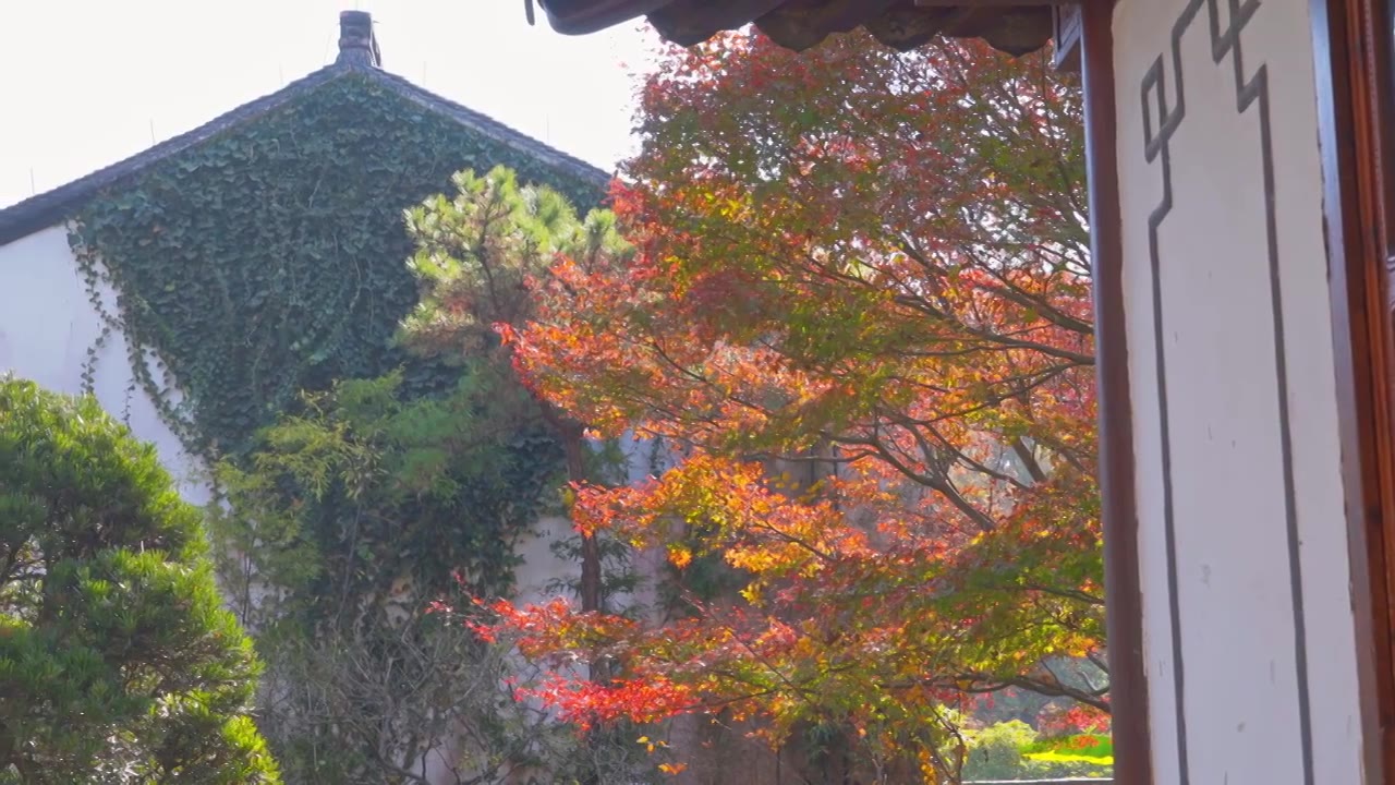 浙江杭州西湖郭庄传统江南古典园林秋天风景视频素材