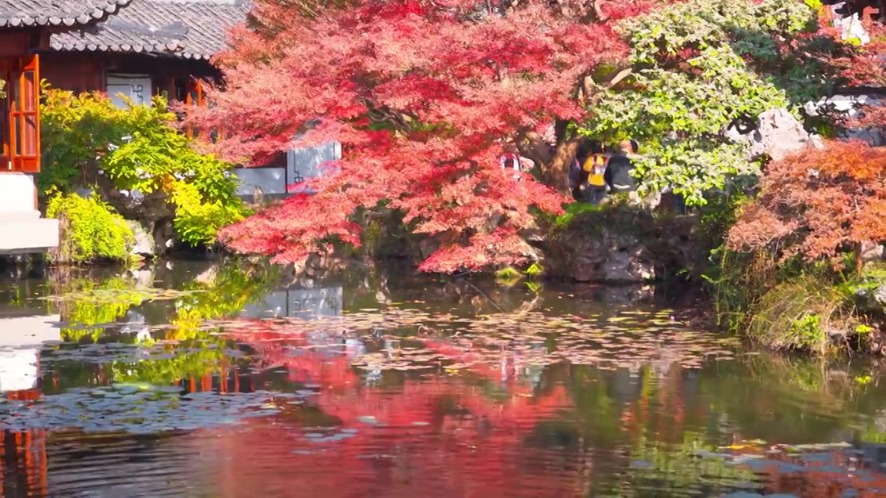 浙江杭州西湖郭庄传统江南古典园林秋天风景视频素材