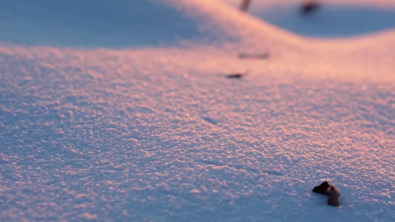 冬天下雪雪地唯美空镜（合集）视频下载