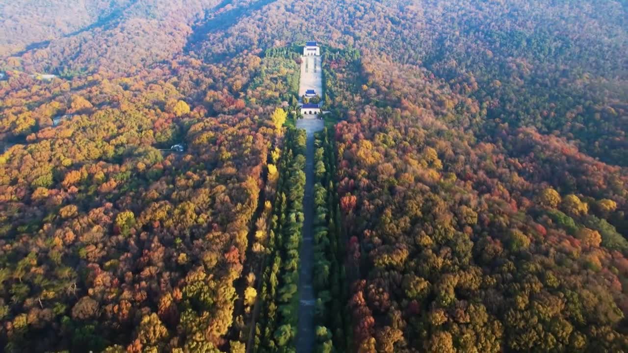 【7分钟】南京秋景合集-中山陵-明孝陵视频素材