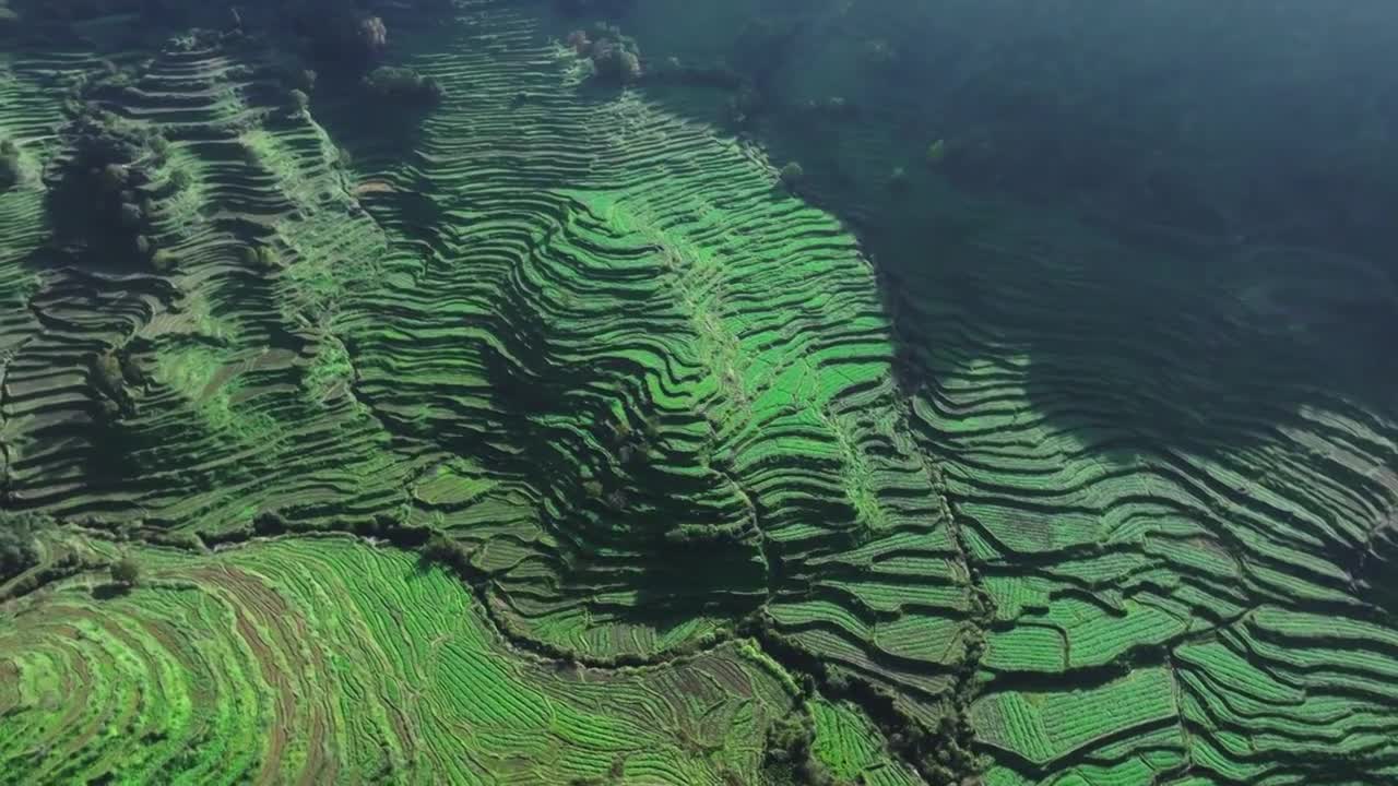 航拍江西婺源篁岭徽派建筑古村落晒秋视频素材