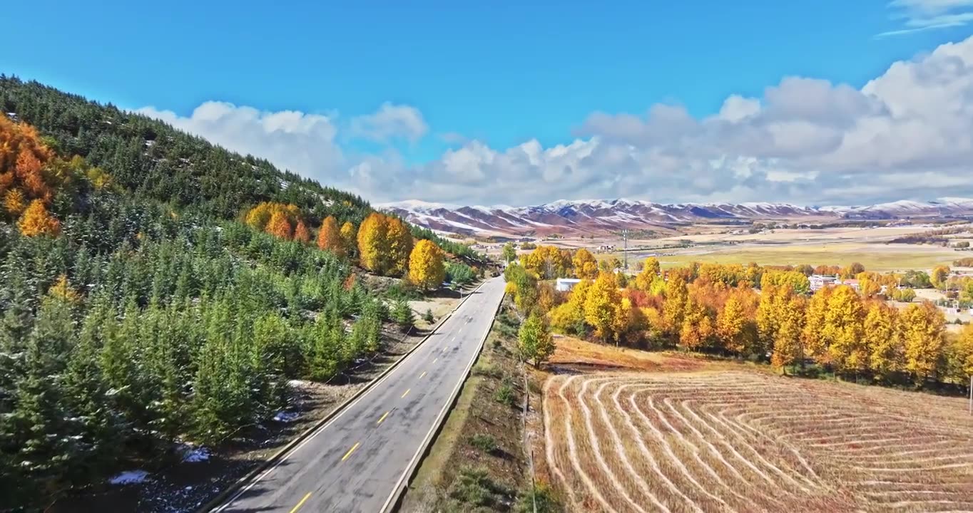 秋季 川西 雪山 高山 草原 牧场 村庄 建筑 蓝天 白云视频素材