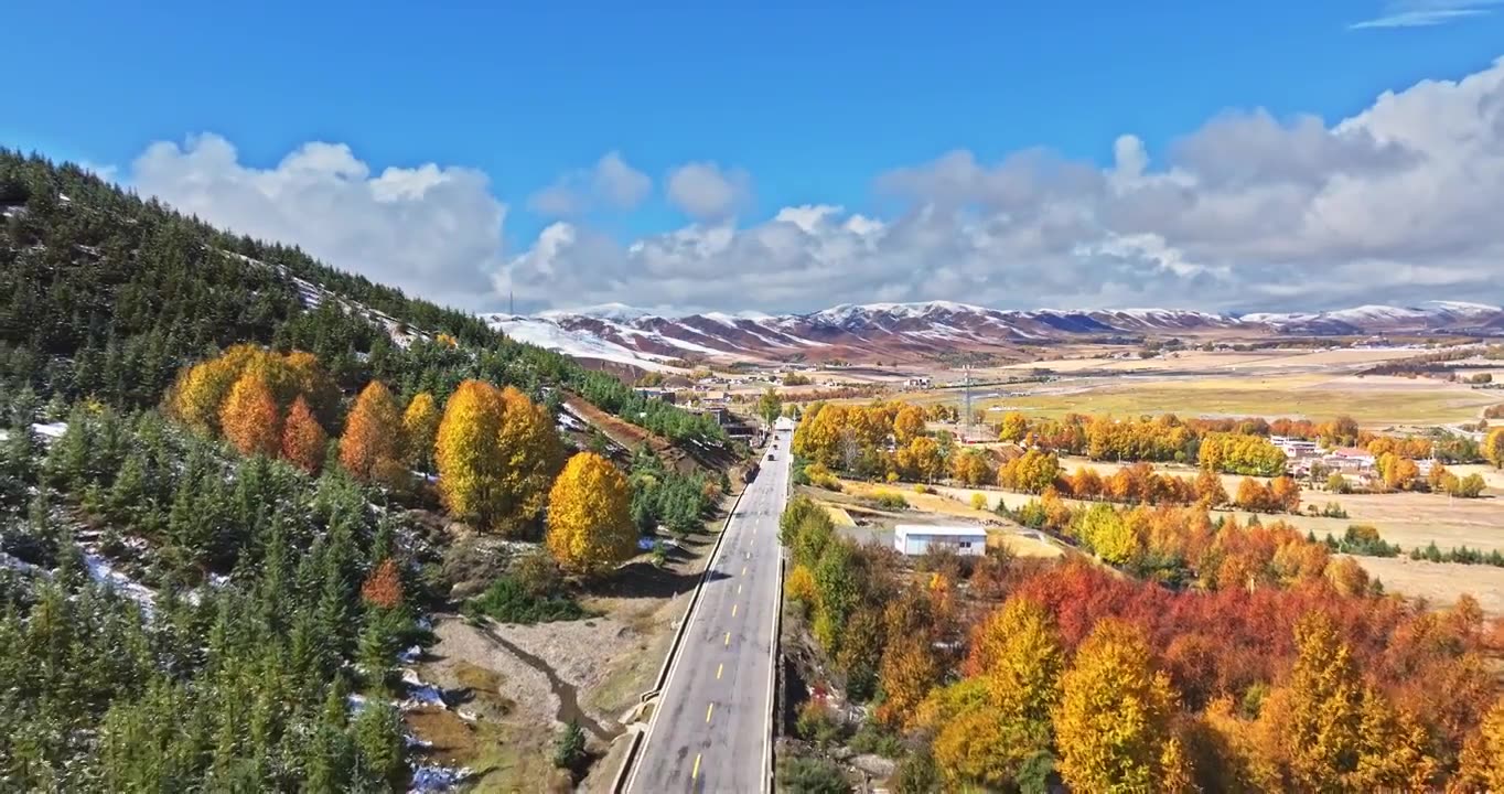 秋季 川西 雪山 高山 草原 牧场 村庄 建筑 蓝天 白云视频素材