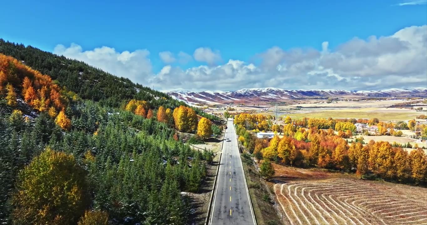 秋季 川西 雪山 高山 草原 牧场 村庄 建筑 蓝天 白云视频素材