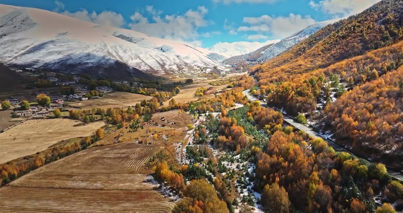 秋季 川西 雪山 高山 草原 牧场 村庄 建筑 蓝天 白云视频素材