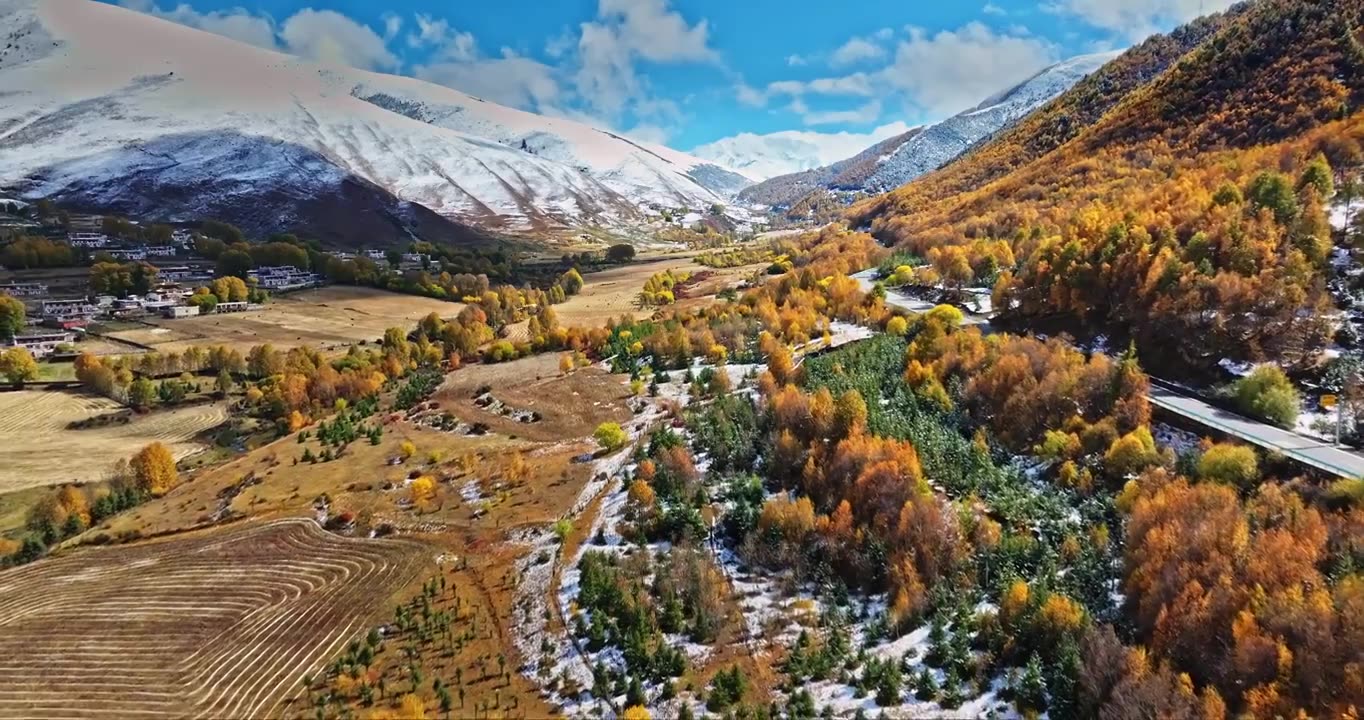 秋季 川西 雪山 高山 草原 牧场 村庄 建筑 蓝天 白云视频素材