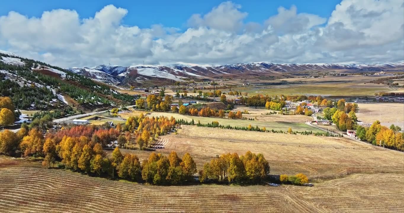 秋季 川西 雪山 高山 草原 牧场 村庄 建筑 蓝天 白云视频素材