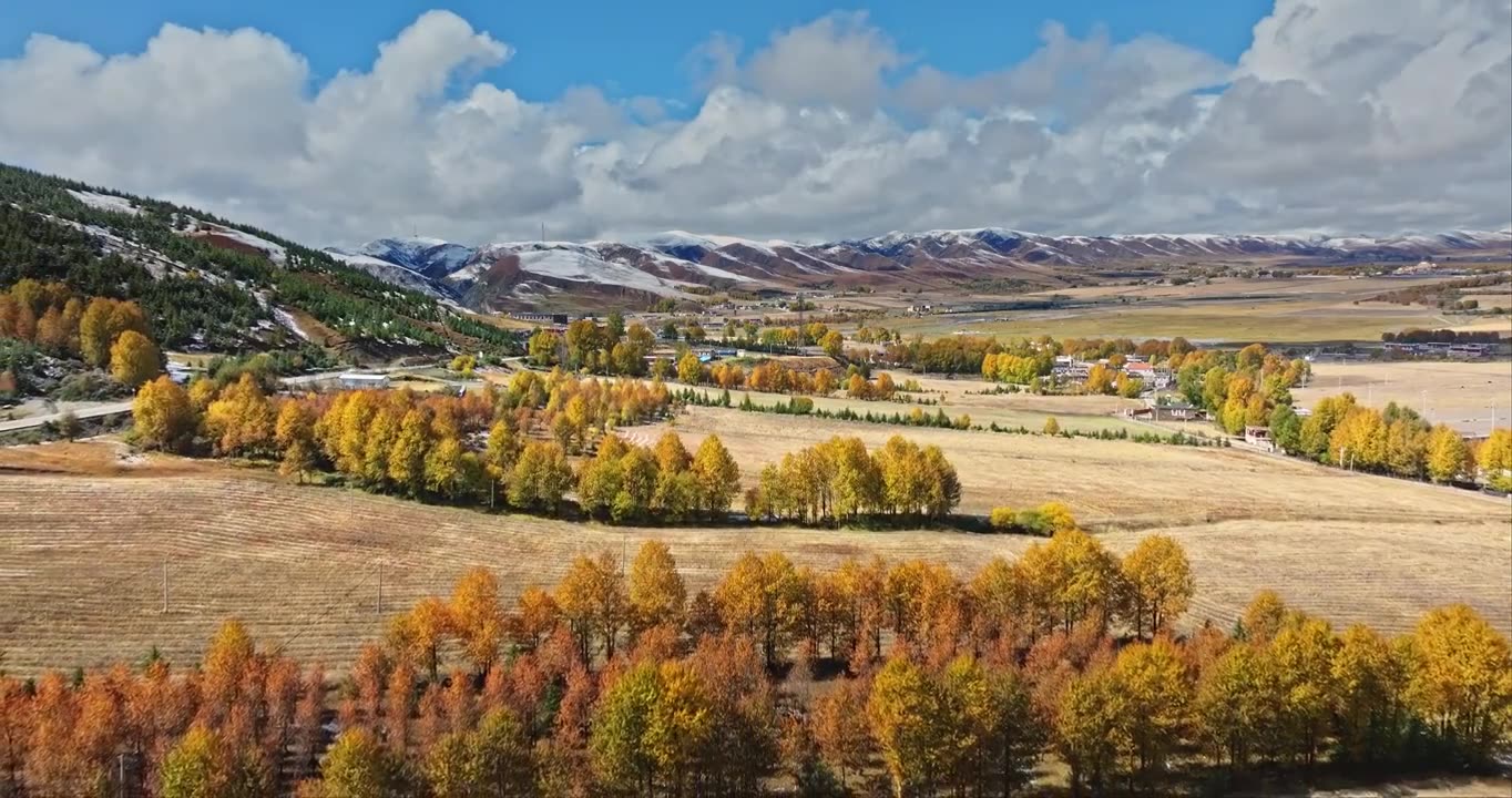 秋季 川西 雪山 高山 草原 牧场 村庄 建筑 蓝天 白云视频素材