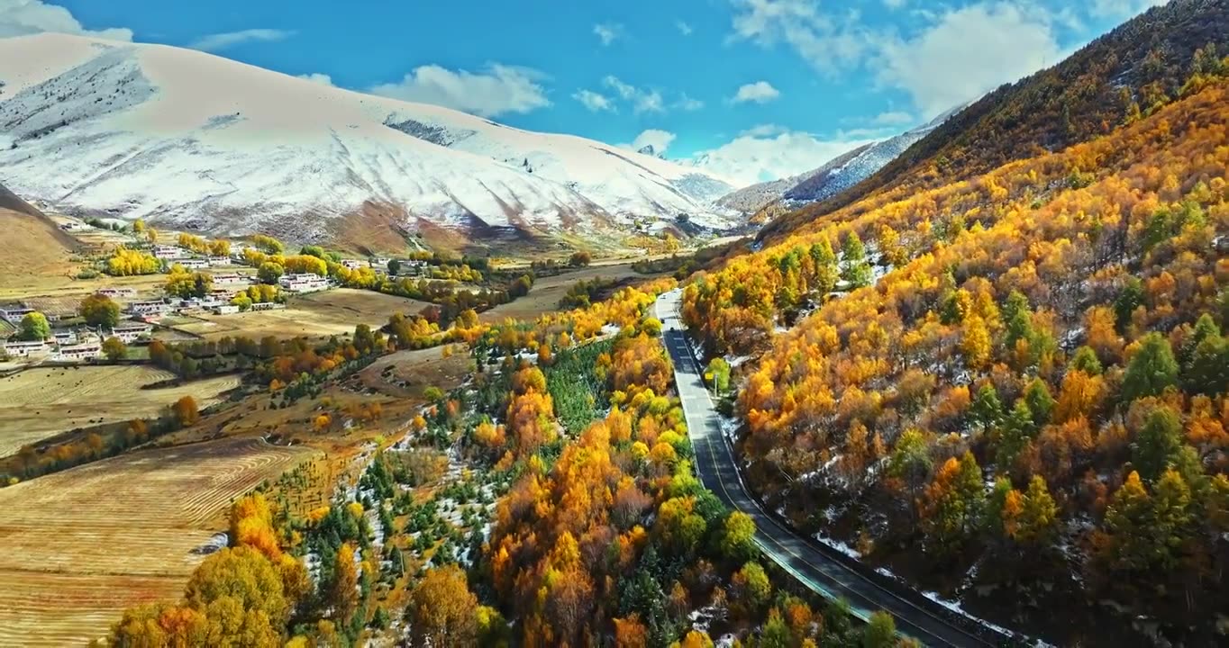 秋季 川西 雪山 高山 草原 牧场 村庄 建筑 蓝天 白云视频素材