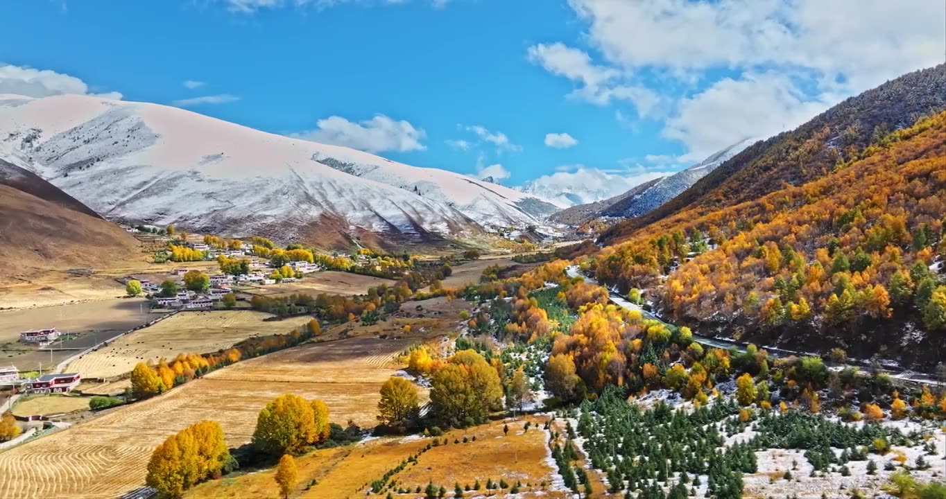 秋季 川西 雪山 高山 草原 牧场 村庄 建筑 蓝天 白云视频素材