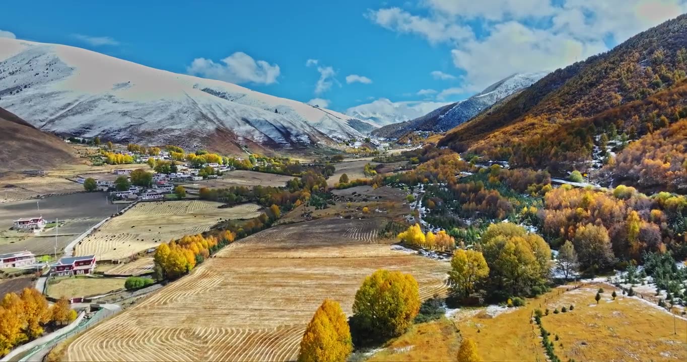 秋季 川西 雪山 高山 草原 牧场 村庄 建筑 蓝天 白云视频素材